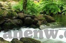 糖心vlog苹果商店版-糖心Vlog苹果商店版，短视频社交新体验